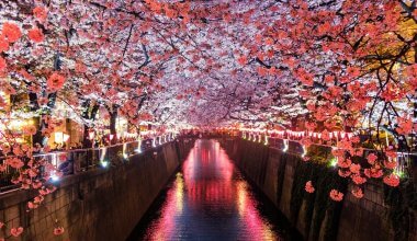 tokio 5 days guide