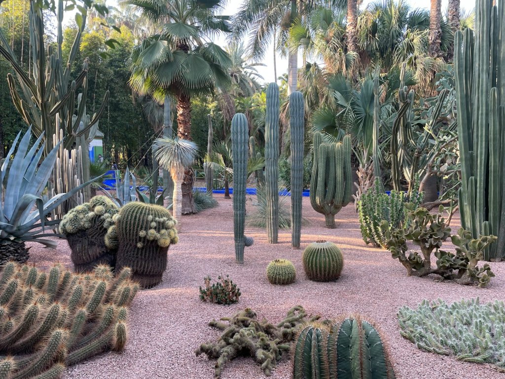 Marrakesh Jardin Majorelle